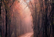 NBA全明星单项赛：希罗加冕“三分王” 麦克朗扣篮三连冠.