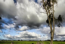 13分独占鳌头！日本4-0大胜印尼，下轮踢国足澎湃新闻.