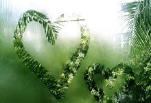 [国际足球]特里皮尔斜传禁区 菲利克斯抽射破门.