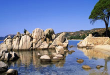 [英超]迪亚斯内切横传 罗伯逊劲射扳平比分.